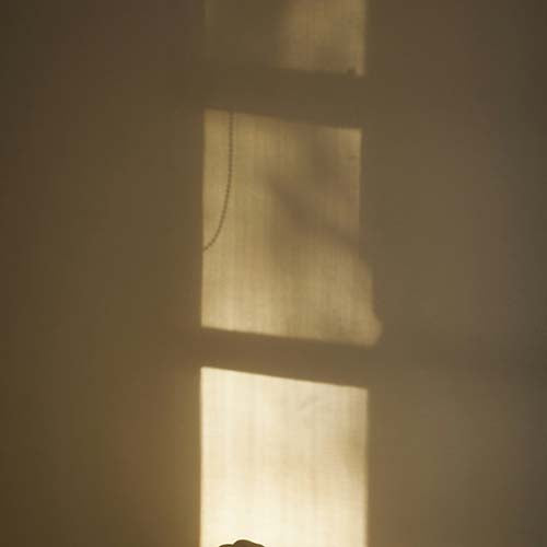 Morning Rituals